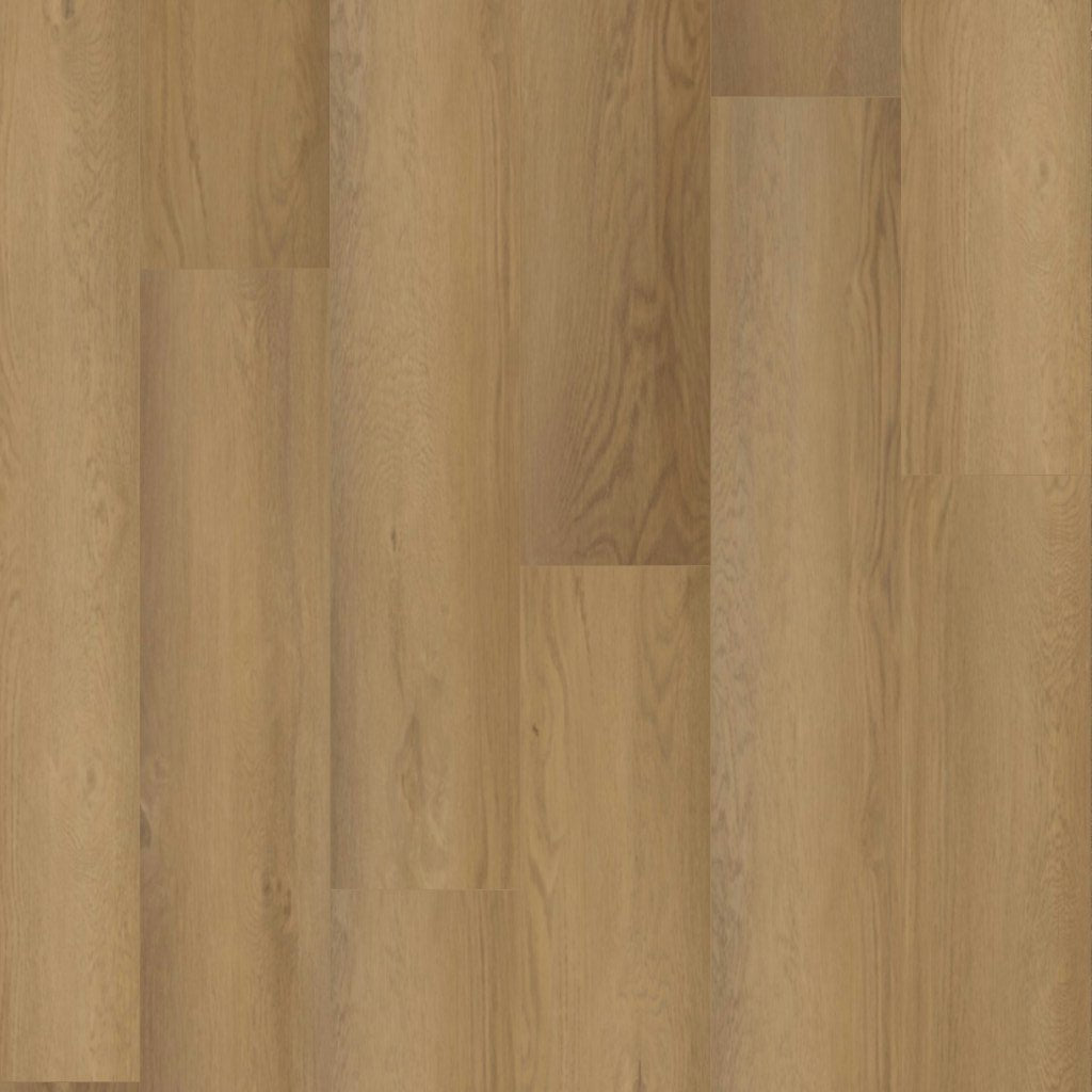 Worldwide Flooring Design Center MASLAND XXL PREMIUM - BLONDE MASLAND XXL PREMIUM - BLONDE Masland Floors