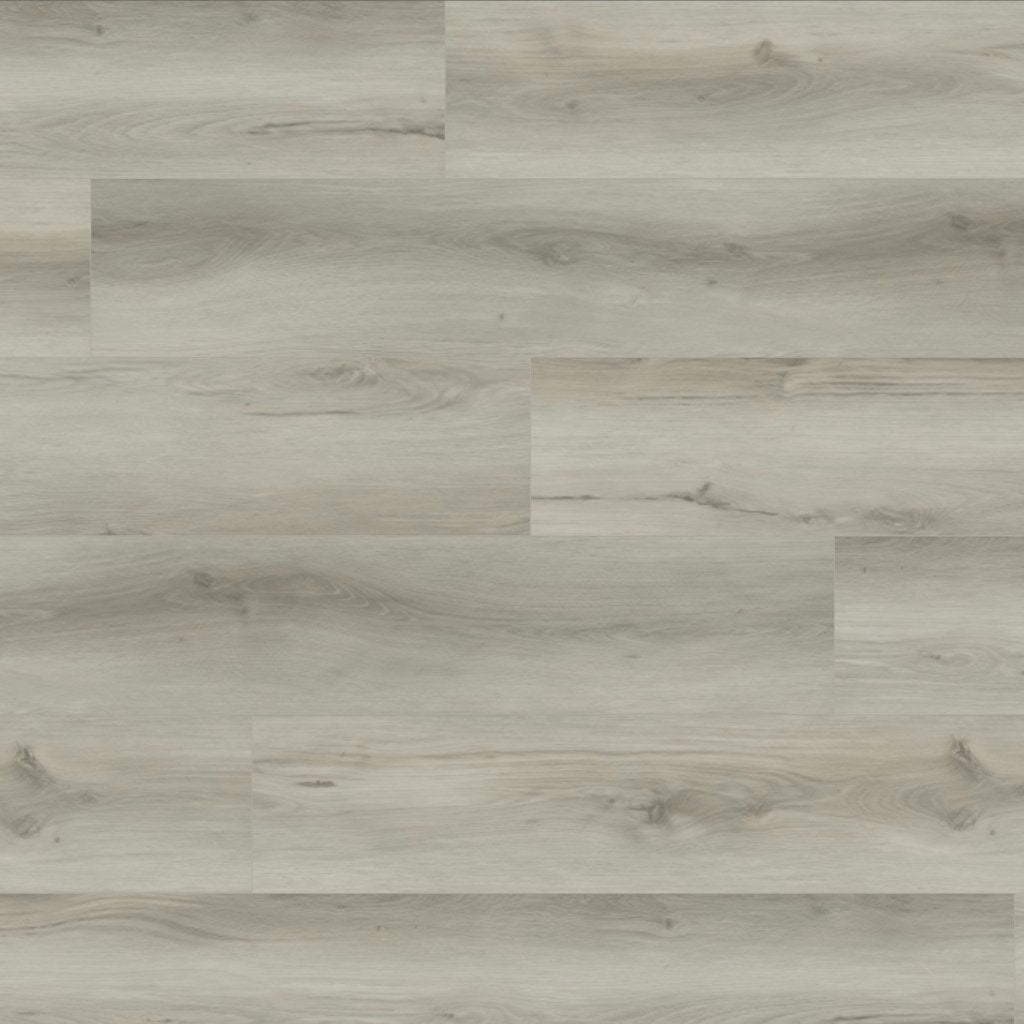 Worldwide Flooring Design Center MASLAND XXL PREMIUM - WINTER BIRCH MASLAND XXL PREMIUM - WINTER BIRCH Masland Floors