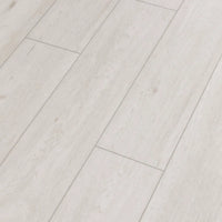 LEGENDS - SALTWATER OAK