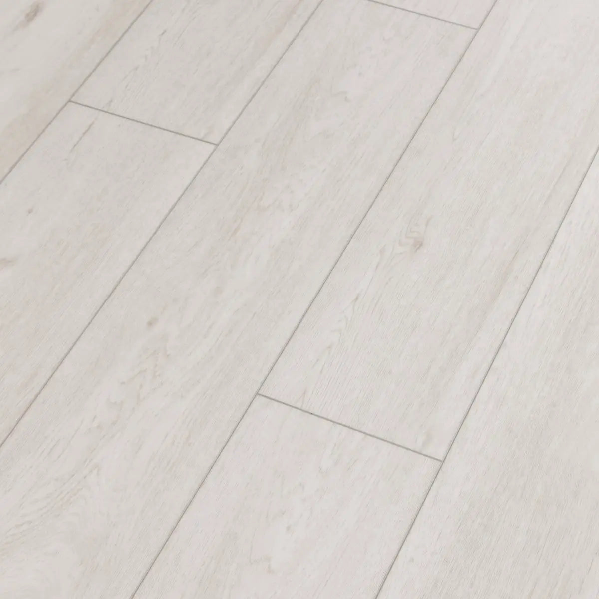 LEGENDS - SALTWATER OAK
