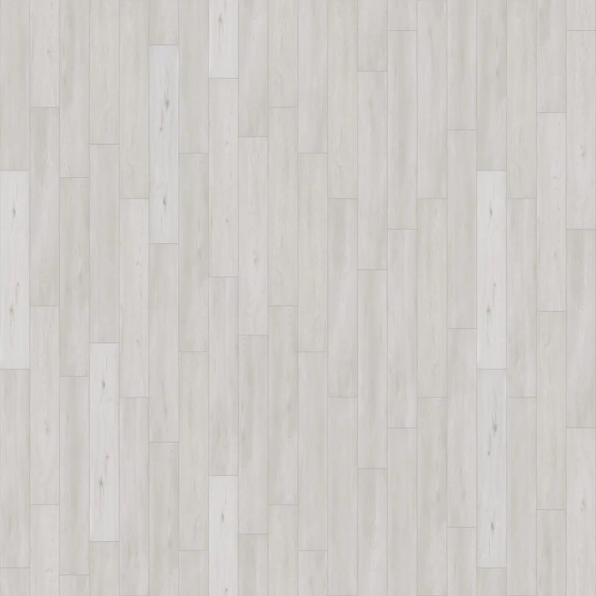 LEGENDS - SALTWATER OAK