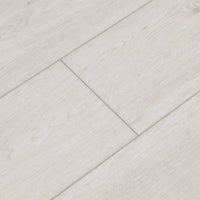 LEGENDS - SALTWATER OAK