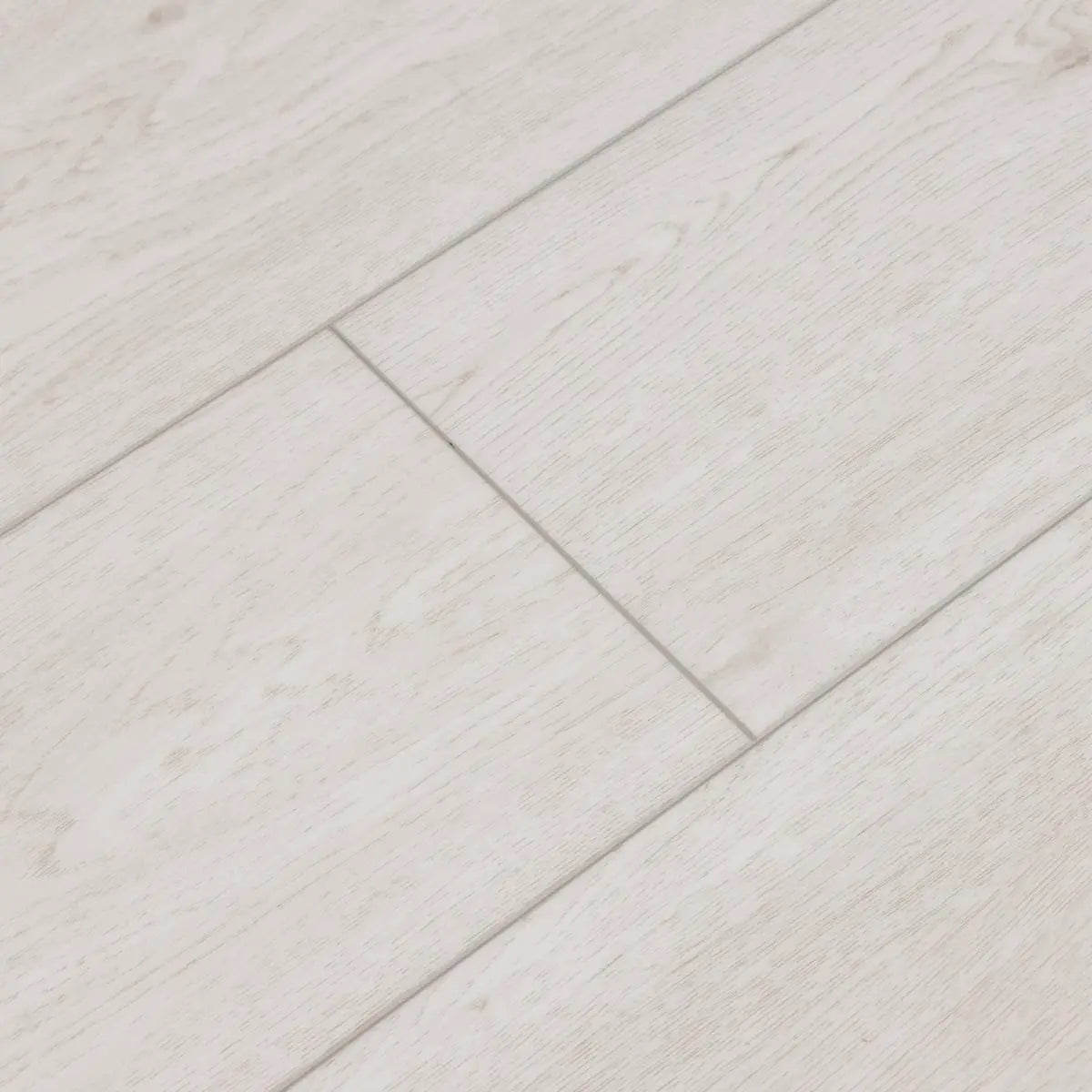 LEGENDS - SALTWATER OAK