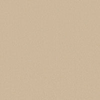 Worldwide Flooring Design Center AWAKEN SPIRIT AWAKEN SPIRIT Shaw Floors Floors