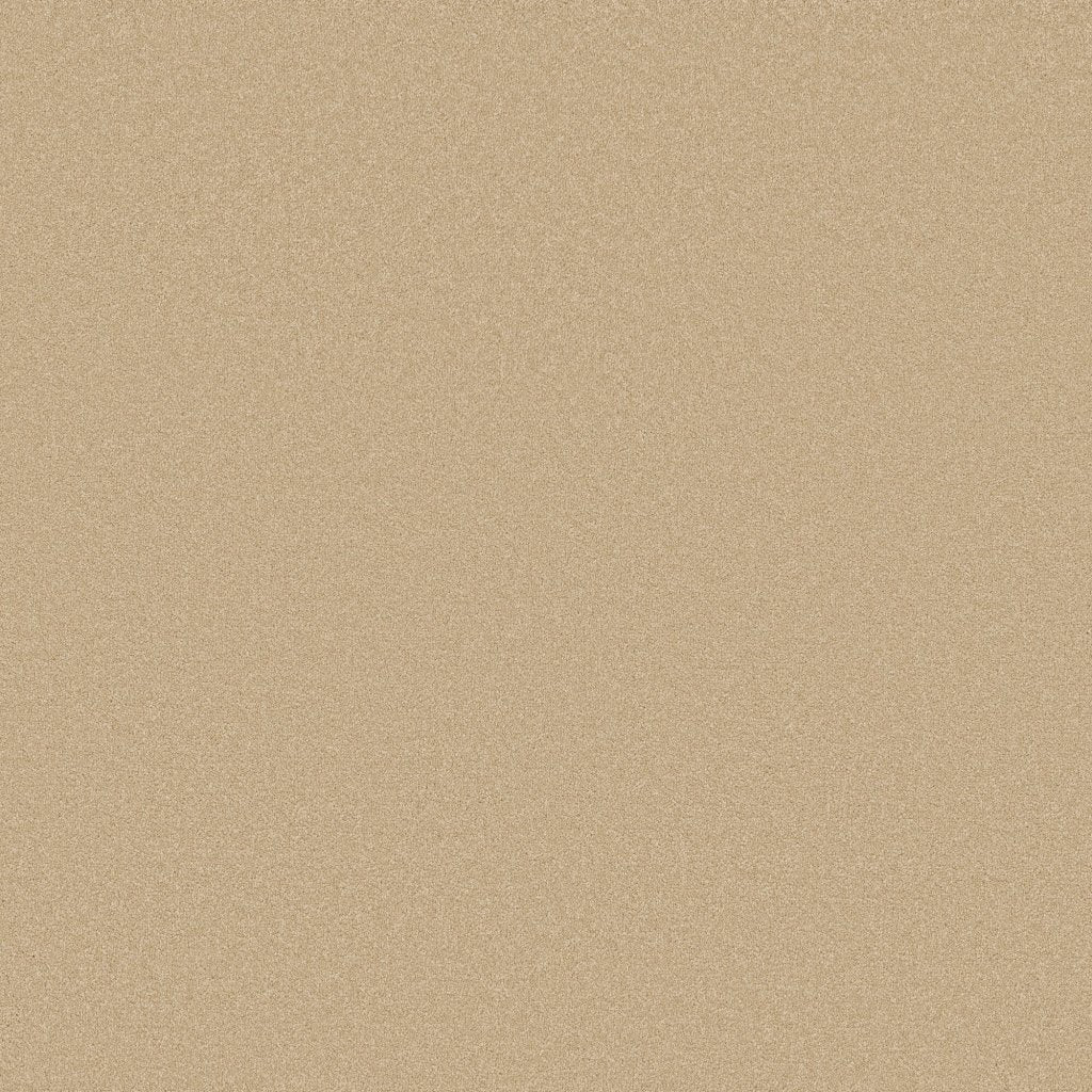 Worldwide Flooring Design Center AWAKEN SPIRIT AWAKEN SPIRIT Shaw Floors Floors