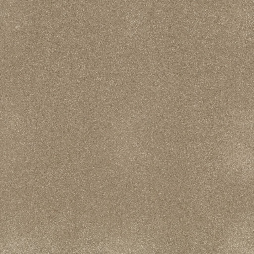 Worldwide Flooring Design Center AWAKEN SPIRIT AWAKEN SPIRIT Shaw Floors Floors