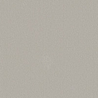 Worldwide Flooring Design Center GRAPHIC ARTIST GRAPHIC ARTIST Shaw Floors Floors