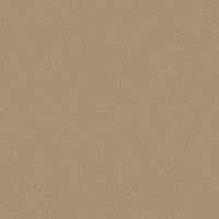 Worldwide Flooring Design Center AWAKEN SPIRIT AWAKEN SPIRIT Shaw Floors Floors