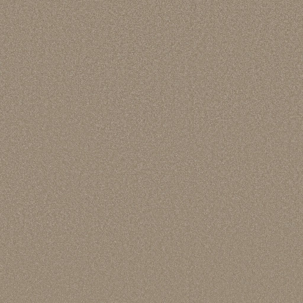 Worldwide Flooring Design Center AWAKEN SPIRIT AWAKEN SPIRIT Shaw Floors Floors