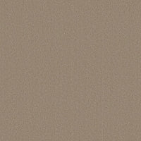 Worldwide Flooring Design Center GRAPHIC ARTIST GRAPHIC ARTIST Shaw Floors Floors