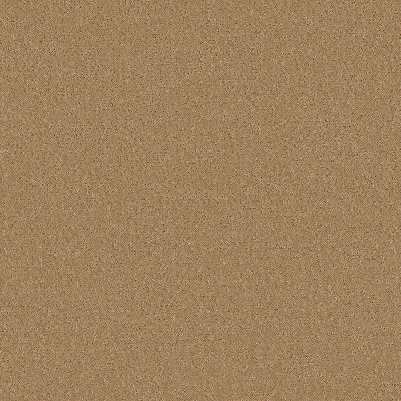 Worldwide Flooring Design Center SUTTON PLACE SUTTON PLACE Shaw Floors Floors