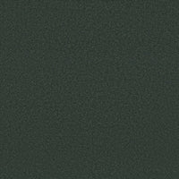 Worldwide Flooring Design Center AWAKEN SPIRIT AWAKEN SPIRIT Shaw Floors Floors