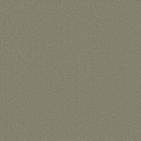 Worldwide Flooring Design Center AWAKEN SPIRIT AWAKEN SPIRIT Shaw Floors Floors