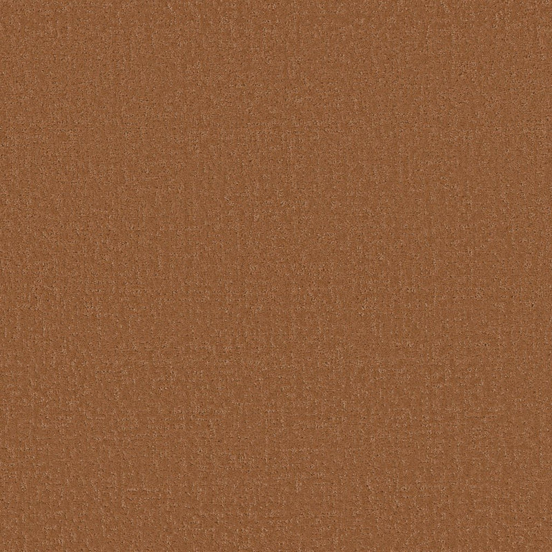 Worldwide Flooring Design Center SUTTON PLACE SUTTON PLACE Shaw Floors Floors