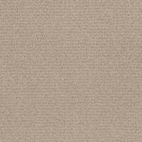 Worldwide Flooring Design Center NATURAL CLOTH NATURAL CLOTH Anderson Tuftex Floors