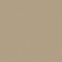 Worldwide Flooring Design Center KNITTED CHIC KNITTED CHIC Anderson Tuftex Floors