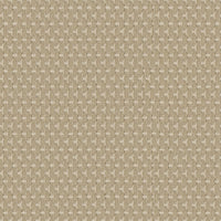 Worldwide Flooring Design Center PALLADIUM PALLADIUM Anderson Tuftex Floors