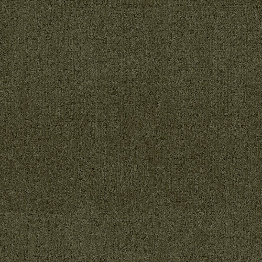 Worldwide Flooring Design Center COMPASSION COMPASSION Anderson Tuftex Floors