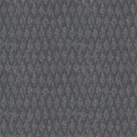 Worldwide Flooring Design Center SOLITUDE SOLITUDE Anderson Tuftex 