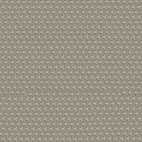 Worldwide Flooring Design Center PALLADIUM PALLADIUM Anderson Tuftex Floors