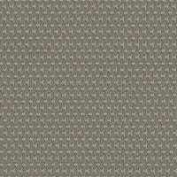 Worldwide Flooring Design Center PALLADIUM PALLADIUM Anderson Tuftex Floors