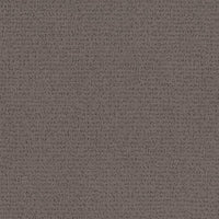 Worldwide Flooring Design Center NATURAL CLOTH NATURAL CLOTH Anderson Tuftex Floors