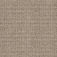 Worldwide Flooring Design Center CAPTIVATED CAPTIVATED Anderson Tuftex Floors