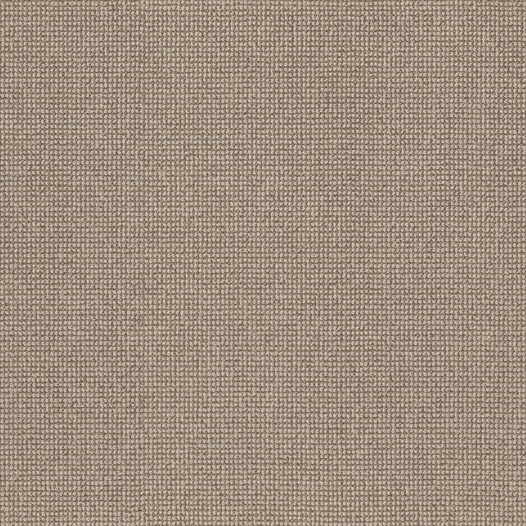Worldwide Flooring Design Center CAPTIVATED CAPTIVATED Anderson Tuftex Floors