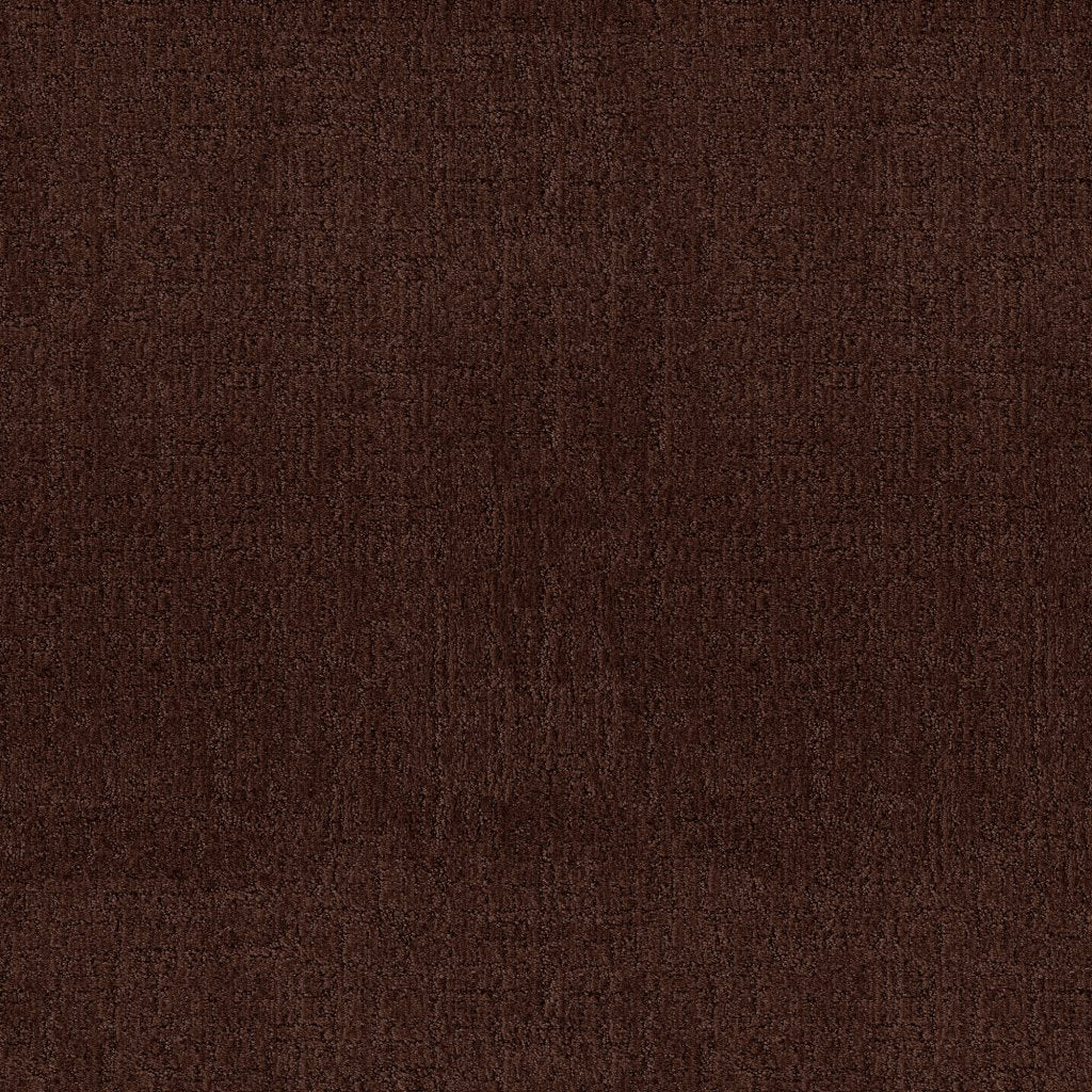 Worldwide Flooring Design Center COMPASSION COMPASSION Anderson Tuftex Floors