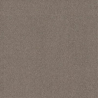 Worldwide Flooring Design Center CAPTIVATED CAPTIVATED Anderson Tuftex Floors
