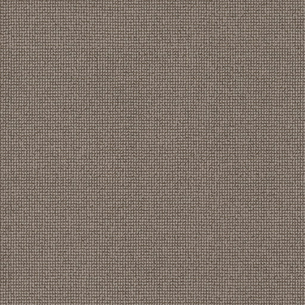 Worldwide Flooring Design Center CAPTIVATED CAPTIVATED Anderson Tuftex Floors