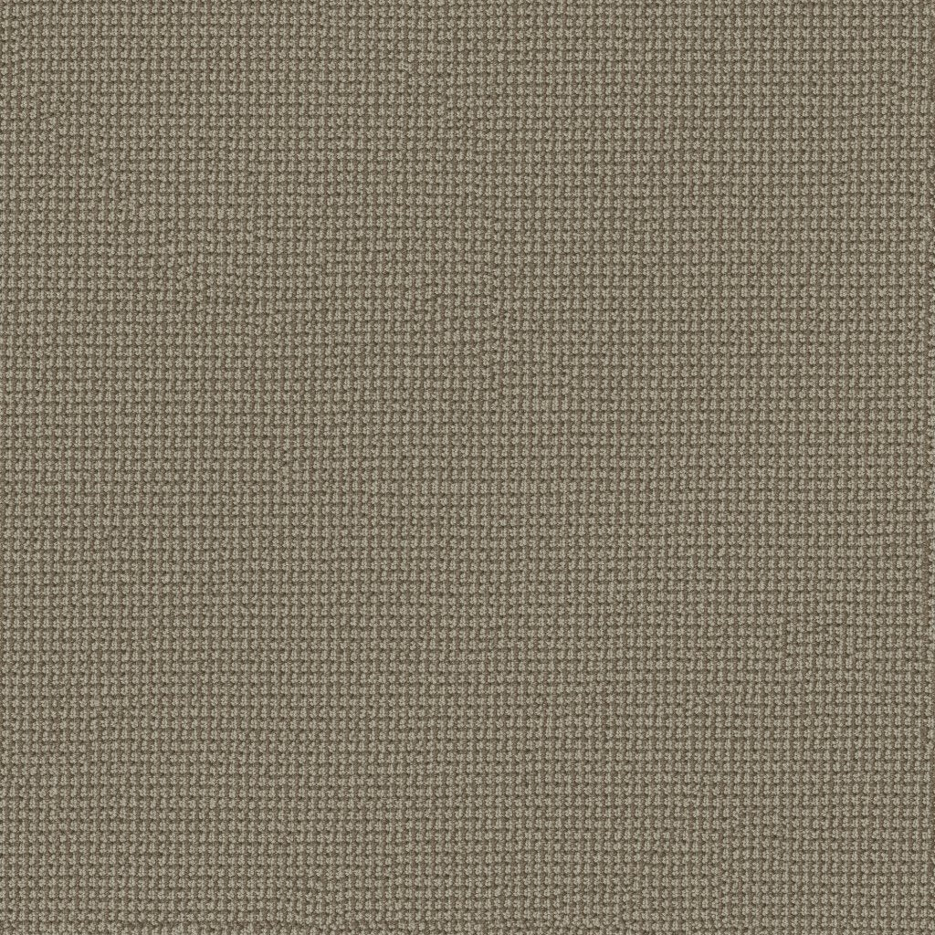 Worldwide Flooring Design Center WELLINGTON WELLINGTON Anderson Tuftex Floors