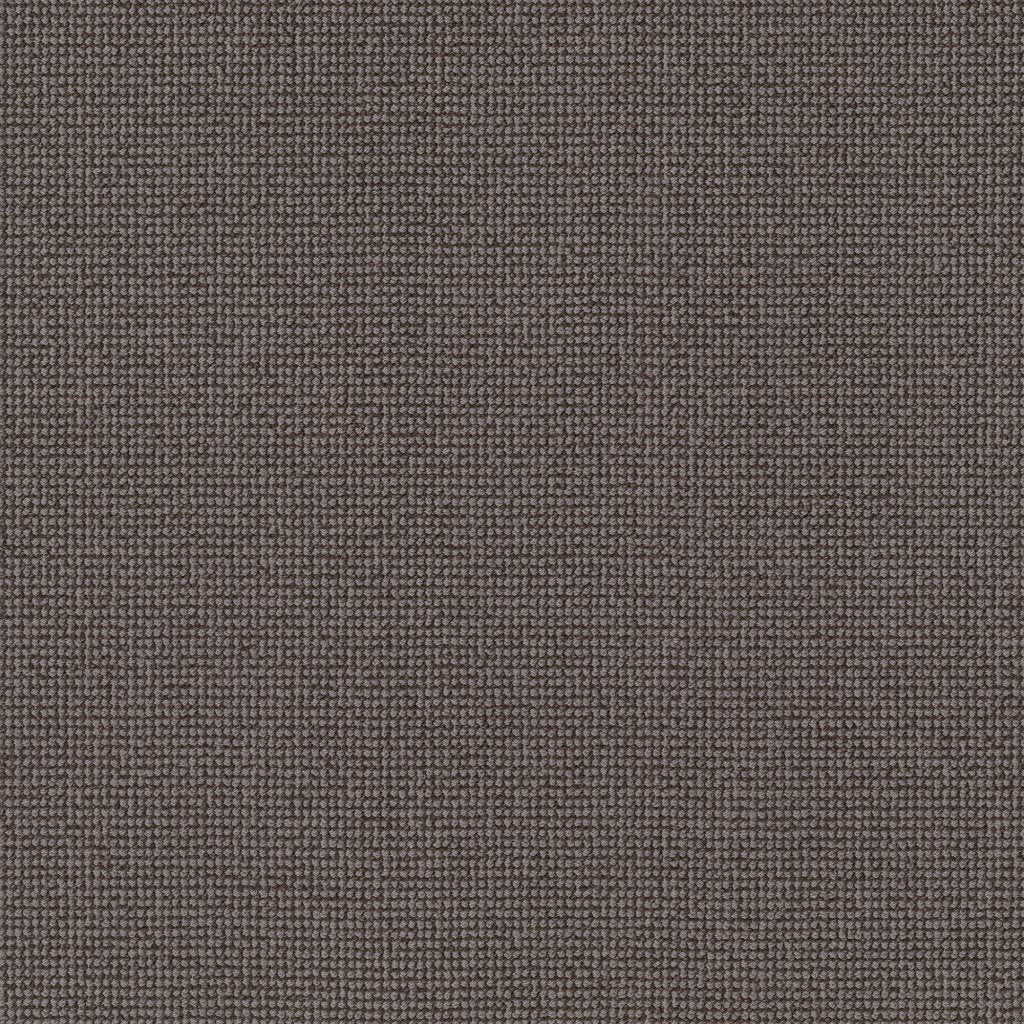 Worldwide Flooring Design Center CAPTIVATED CAPTIVATED Anderson Tuftex Floors