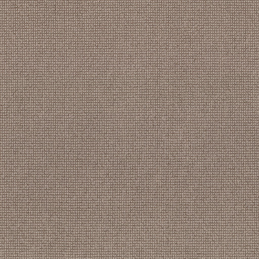 Worldwide Flooring Design Center CAPTIVATED CAPTIVATED Anderson Tuftex Floors