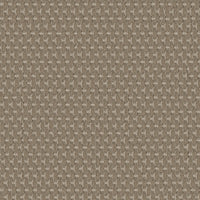 Worldwide Flooring Design Center PALLADIUM PALLADIUM Anderson Tuftex Floors