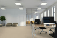 Worldwide Flooring Design Center CATALINA CATALINA Anderson Tuftex Floors