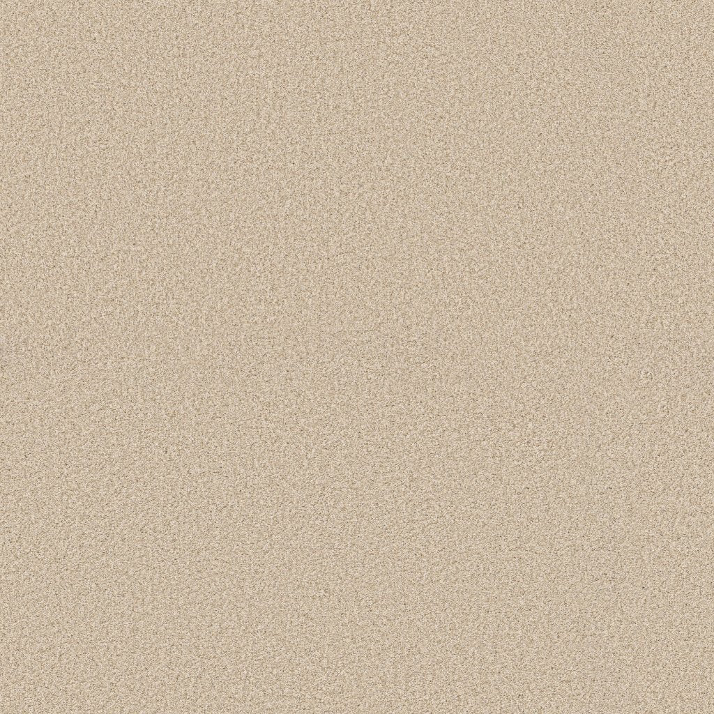 Worldwide Flooring Design Center EL DORADO EL DORADO Anderson Tuftex Floors