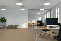 Worldwide Flooring Design Center BEWITCHED BEWITCHED Anderson Tuftex Floors