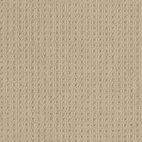 Worldwide Flooring Design Center CORTEZ CORTEZ Anderson Tuftex Floors