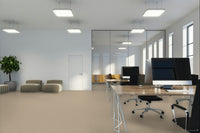 Worldwide Flooring Design Center CATALINA CATALINA Anderson Tuftex Floors