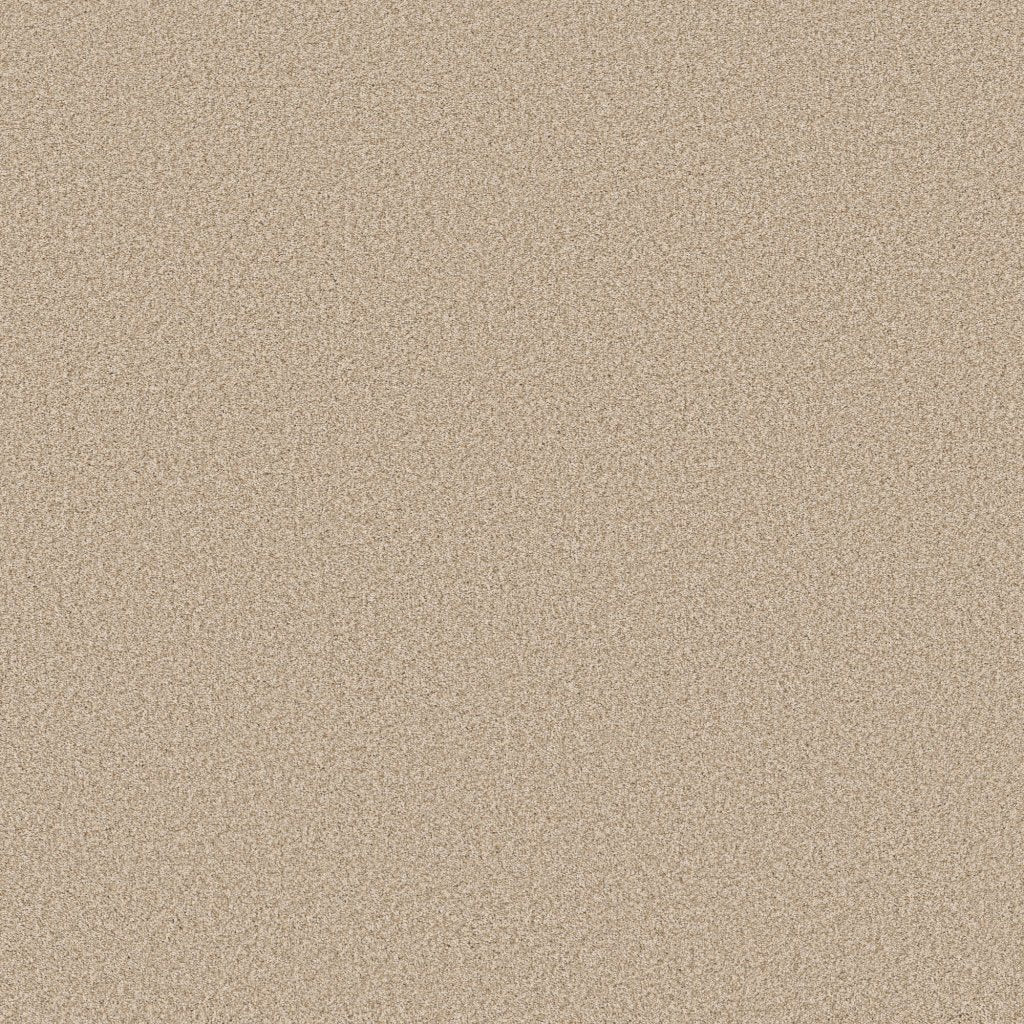 Worldwide Flooring Design Center EL DORADO EL DORADO Anderson Tuftex Floors