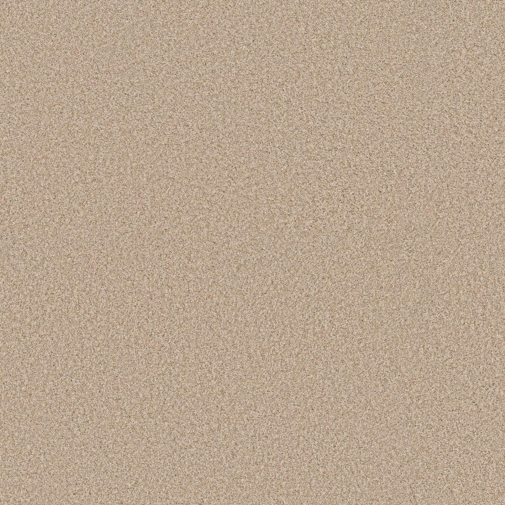 Worldwide Flooring Design Center SIGNATURE SIGNATURE Anderson Tuftex Floors