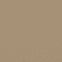 Worldwide Flooring Design Center EL DORADO EL DORADO Anderson Tuftex Floors