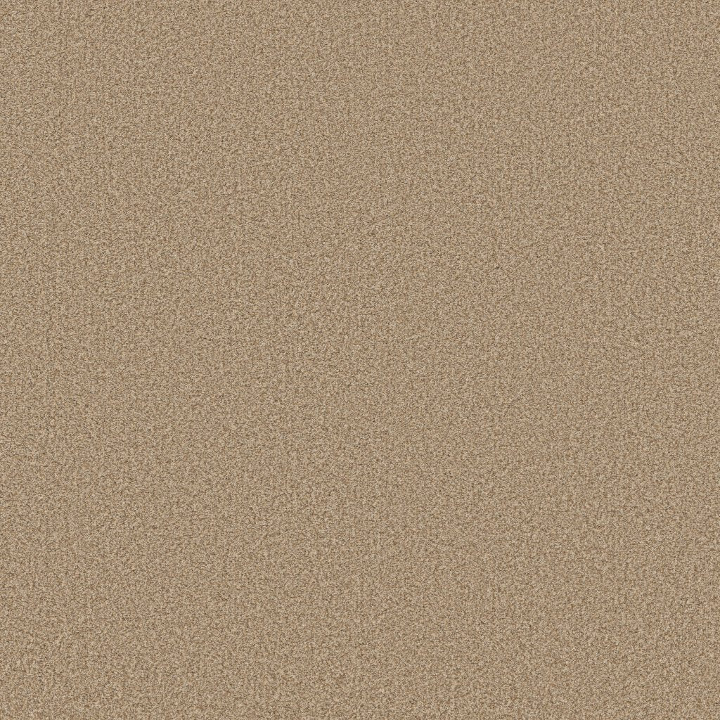 Worldwide Flooring Design Center EL DORADO EL DORADO Anderson Tuftex Floors