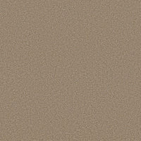Worldwide Flooring Design Center EL DORADO EL DORADO Anderson Tuftex Floors