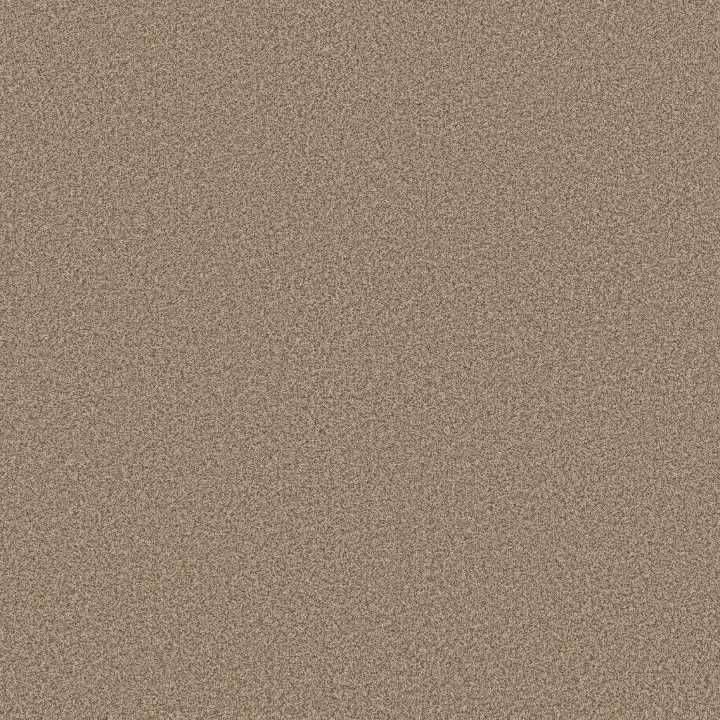Worldwide Flooring Design Center EL DORADO EL DORADO Anderson Tuftex Floors
