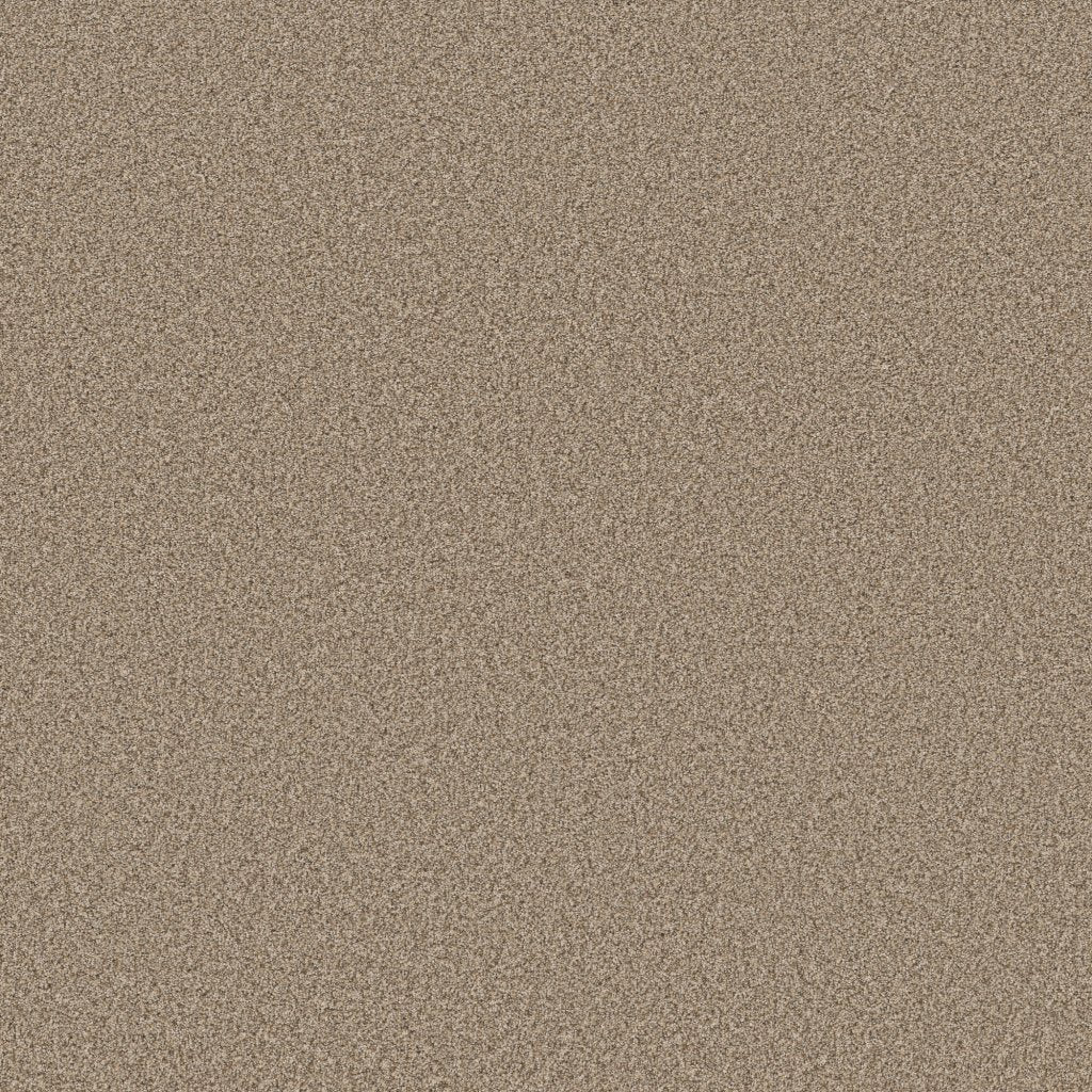 Worldwide Flooring Design Center SIGNATURE SIGNATURE Anderson Tuftex Floors