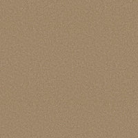 Worldwide Flooring Design Center COSMOPOLITAN COSMOPOLITAN Anderson Tuftex Floors