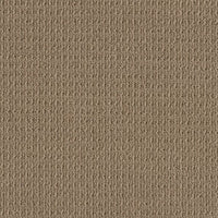 Worldwide Flooring Design Center DELIGHTFULLY DELIGHTFULLY Anderson Tuftex Floors