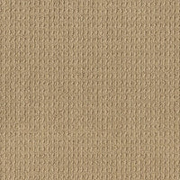 Worldwide Flooring Design Center DELIGHTFULLY DELIGHTFULLY Anderson Tuftex Floors